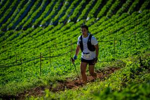 BIB: 
                            <button type="button" onclick="openModal(19161099)" class="btn btn-primary btn-sm float-right btn-popup" data-toggle="modal" data-target=".modal-high-quality">
                        <i class="fas fa-shopping-cart"></i> Add to Cart
                    </button>
                                            <button type="button" onclick="isThisMe(19161099, true)" class="btn btn-success btn-sm float-right btn-popup btn-isme hidden" data-toggle="tooltip" data-placement="bottom" title="นี่คือรูปของคุณใช่ไหม คลิกที่นี่เพื่อเอาเข้าอัลบั้ม">
                        <i class="fas fa-plus"></i> Add to album
                    </button>
                    <button type="button" onclick="isThisMe(19161099, false)" class="btn btn-warning btn-sm float-right btn-popup btn-isnotme hidden">
                        <i class="fas fa-ban"></i> Remove from album
                    </button>